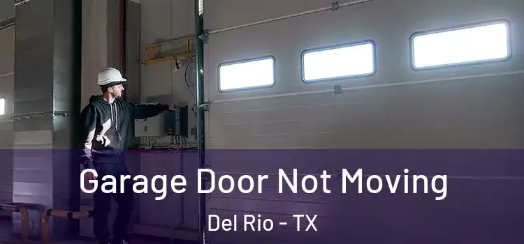  Garage Door Not Moving Del Rio - TX