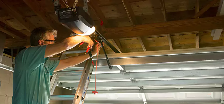 Garage Door Opener Sales and Installation Del Rio